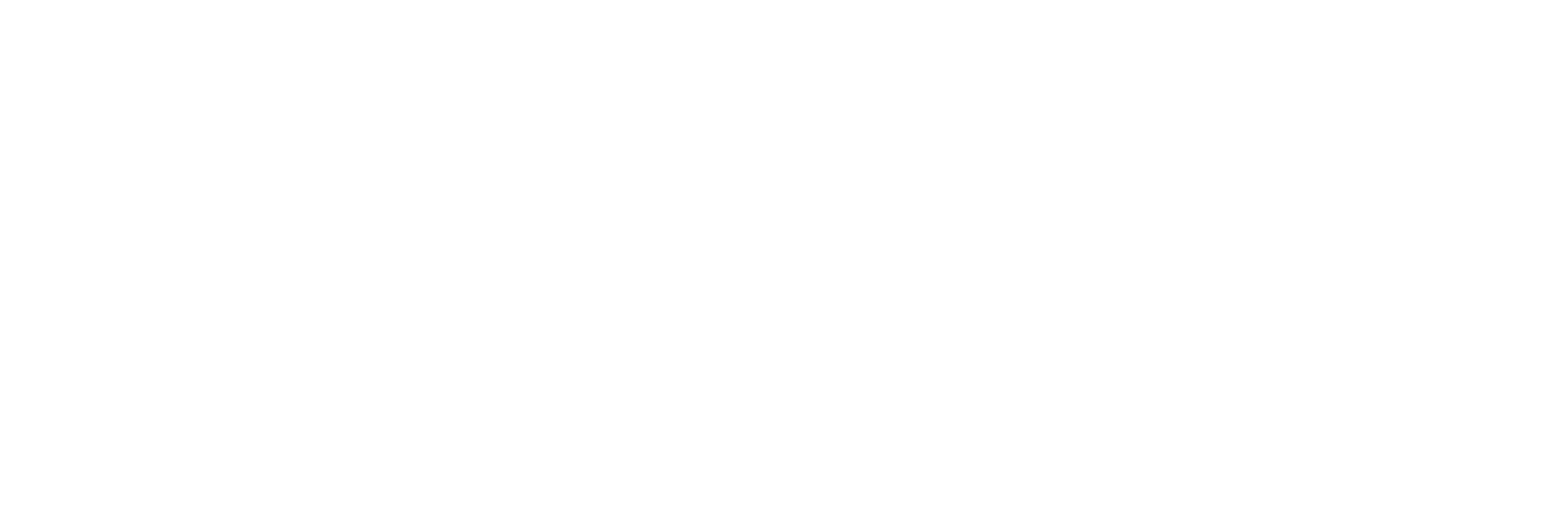logo nova dra thaiz branco